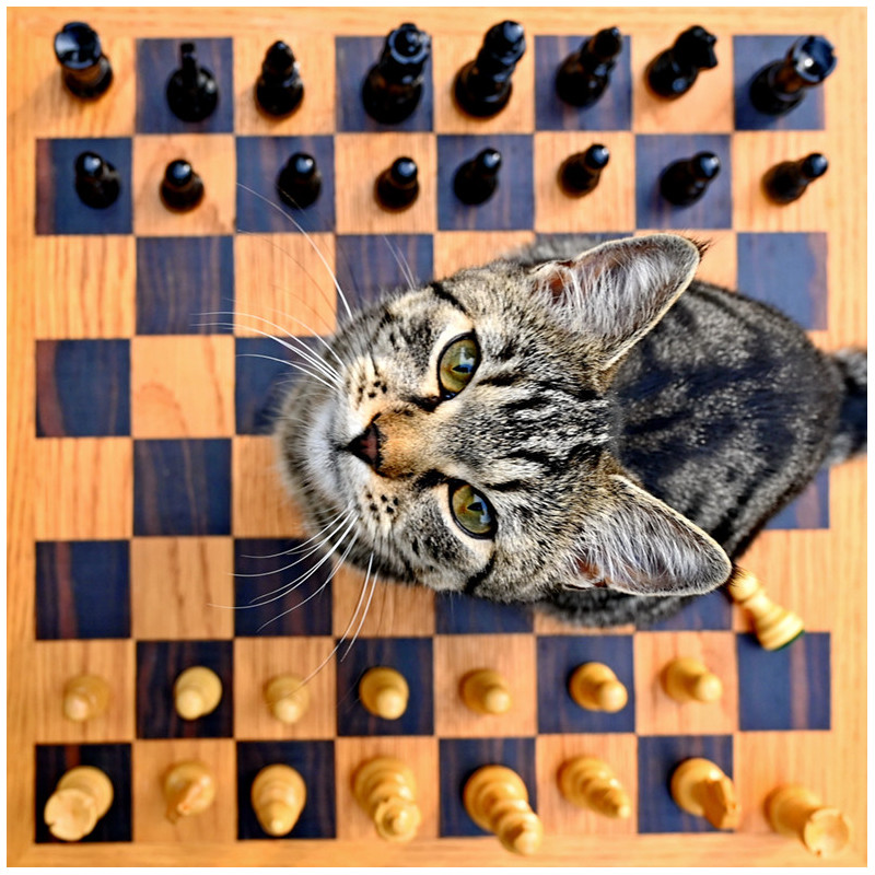 Spielen