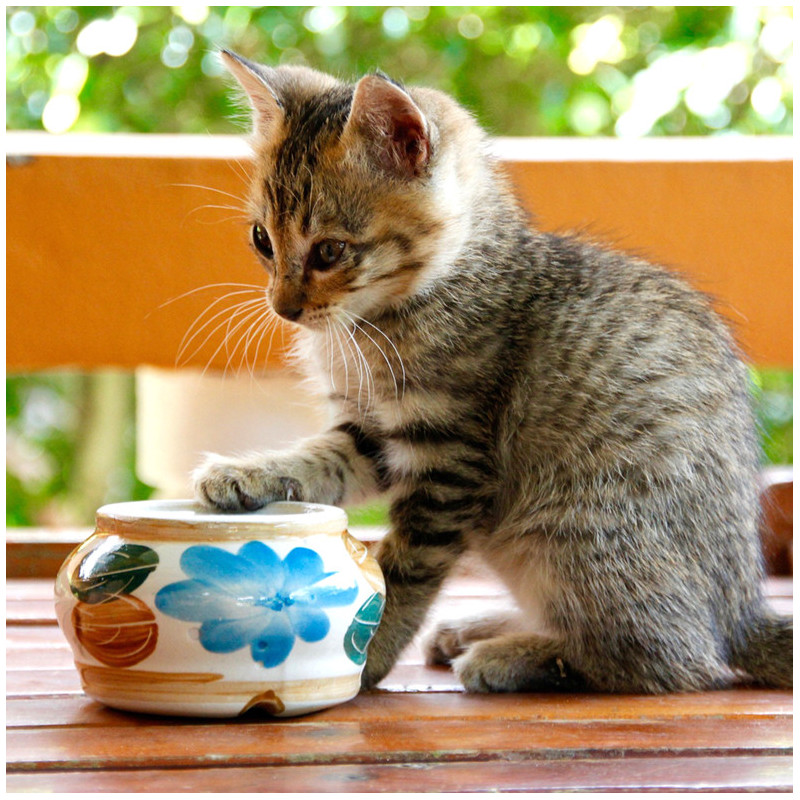 Deko- und Geschenkartikel