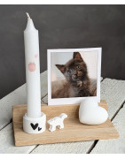 Kartenhalter Set - 5-teilig