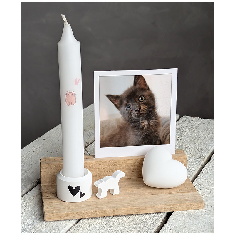 Kartenhalter Set - 5-teilig