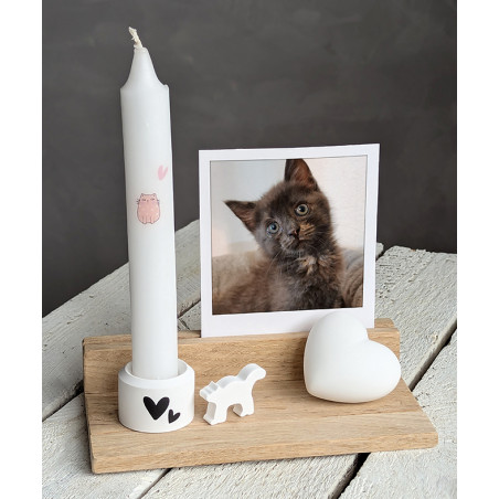 Kartenhalter Set - 5-teilig