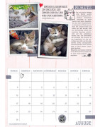 Samtpfoten-Kalender 2025
