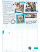 Samtpfoten-Kalender 2025