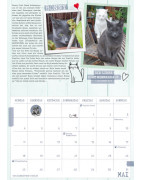 Samtpfoten-Kalender 2025