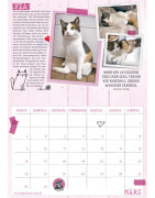 Samtpfoten-Kalender 2025