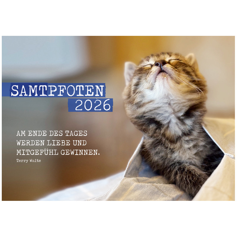 Samtpfoten-Kalender 2025