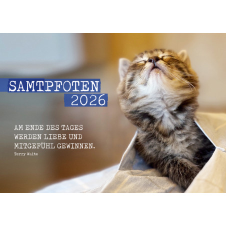 Samtpfoten-Kalender 2025