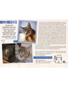 Samtpfoten-Kalender 2025