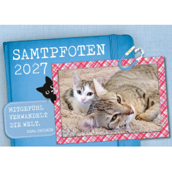 Samtpfoten-Kalender 2027